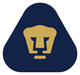 美洲狮女足logo